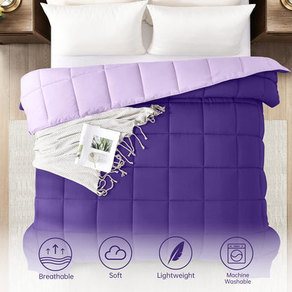 Twin/Twin XL Comforter - Bed Duvet Insert Lightweight | Clump-Free Washable, All Season Soft down Alternative Bedding Blanket Quilted, Reversible Purple/Lavender College Dorm