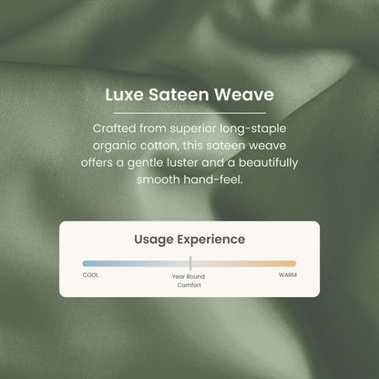 100% Organic Cotton 1 King Size Fitted Sheet Only | 300 Thread Count Sateen Weave GOTS Certified with Deep Pocket - Basil